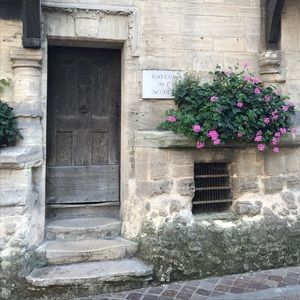 Go shopping!! 🌳🌳Time to clean out the closet!!